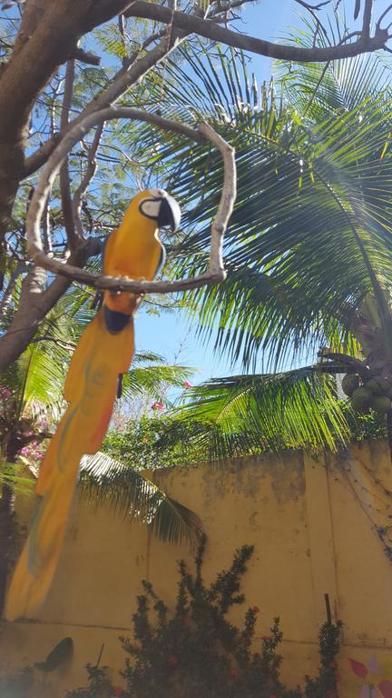 Pousada Agua Marinha Canoa Quebrada Eksteriør bilde